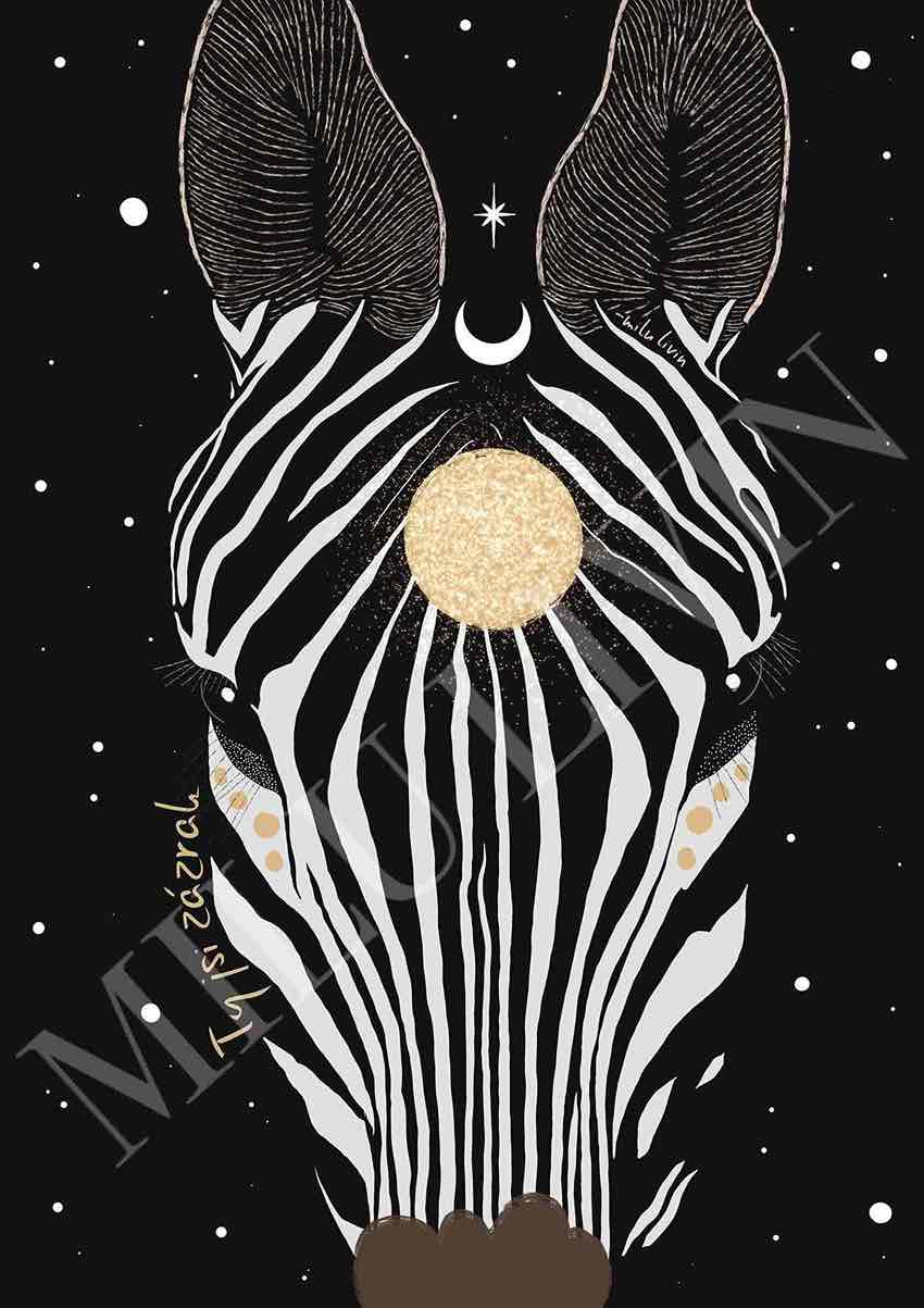 Zebra - Plakát