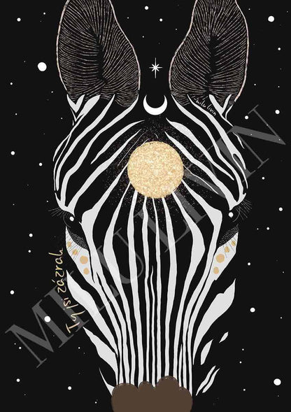 Zebra - Plakát